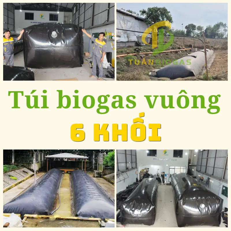 Túi Biogas Vuông 6 Khối Tuấn Biogas: Giải Pháp Xử Lý Chất Thải Chăn Nuôi Nông Hộ Tối Ưu, Sinh Khí Mạnh